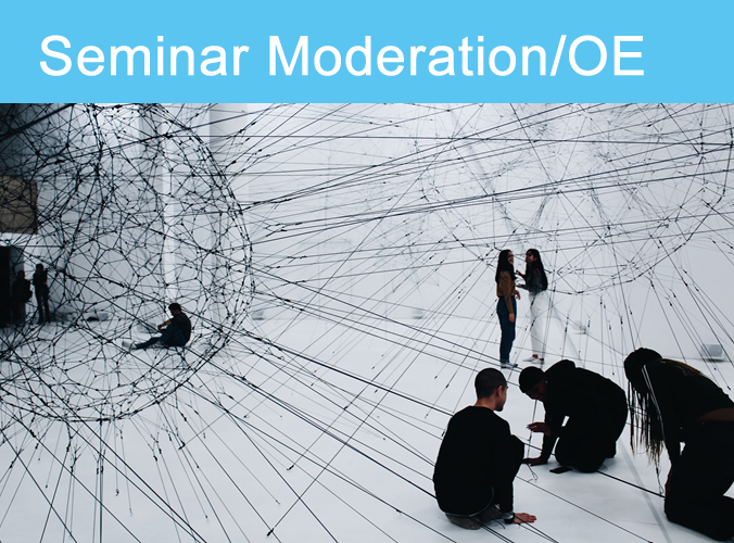 Seminar Konfliktmanagement in Entwicklungsprozessen