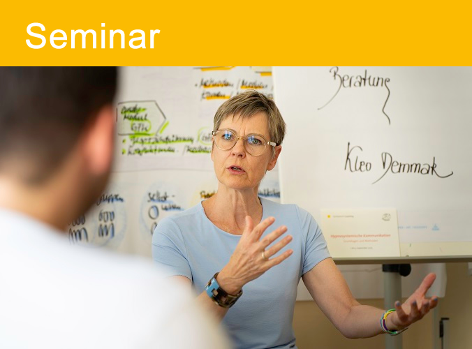 Seminar MiniMax-Interventionen