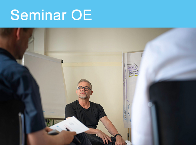 Seminar Handlungsfelder in der Organisationsentwicklung