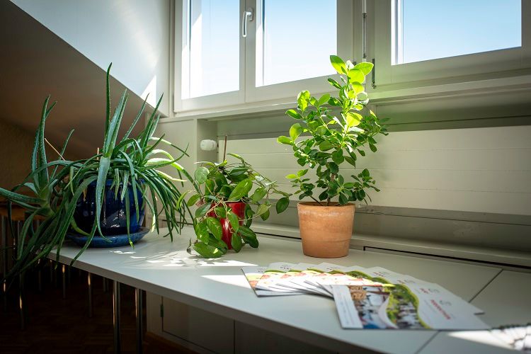 Seminar Mediation bei Erbsachen