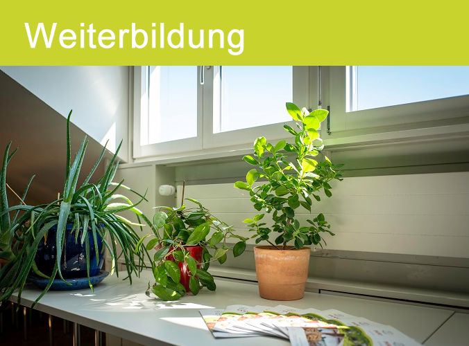 Mediation bei Erbsachen - Emotionale und rechtliche Grundlagen